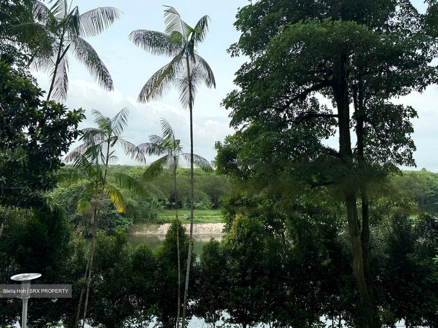 Rio Vista (D19), Condominium #461814861